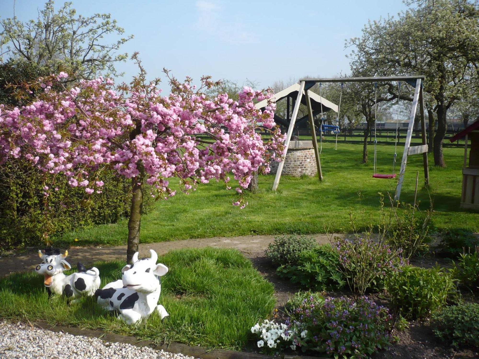 Shepherds House B&B Limmen Zewnętrze zdjęcie